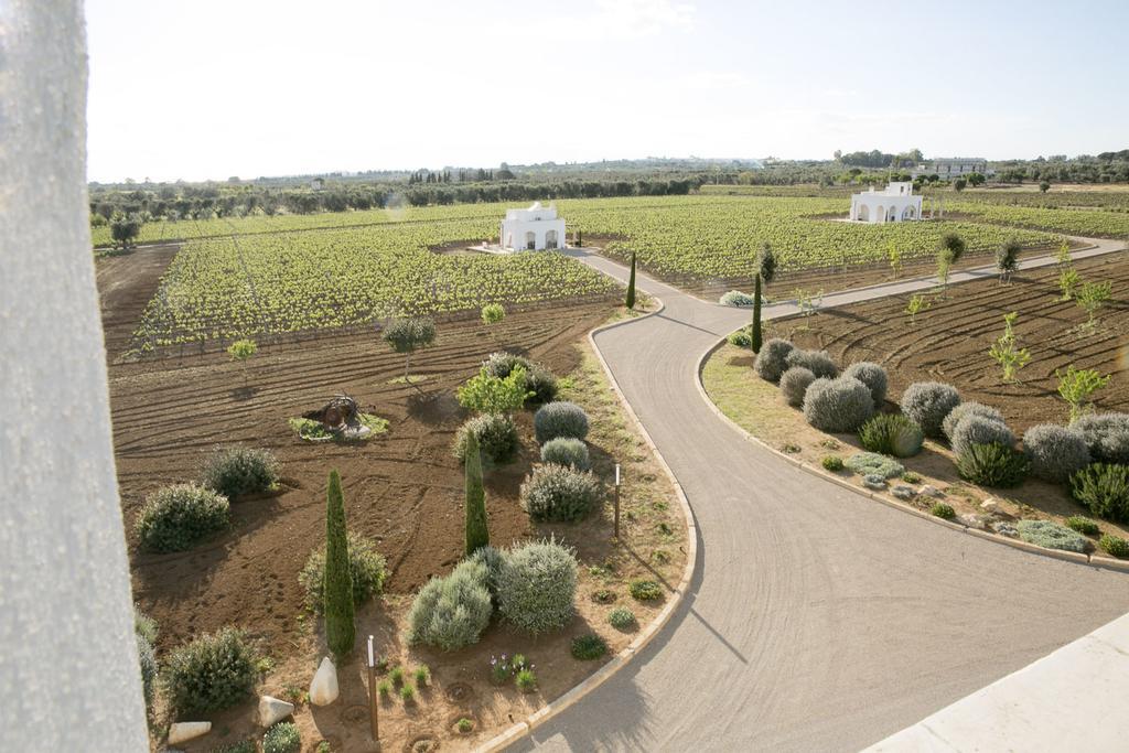 Tenutayala - Residenza Agrituristica بارابيتا المظهر الخارجي الصورة