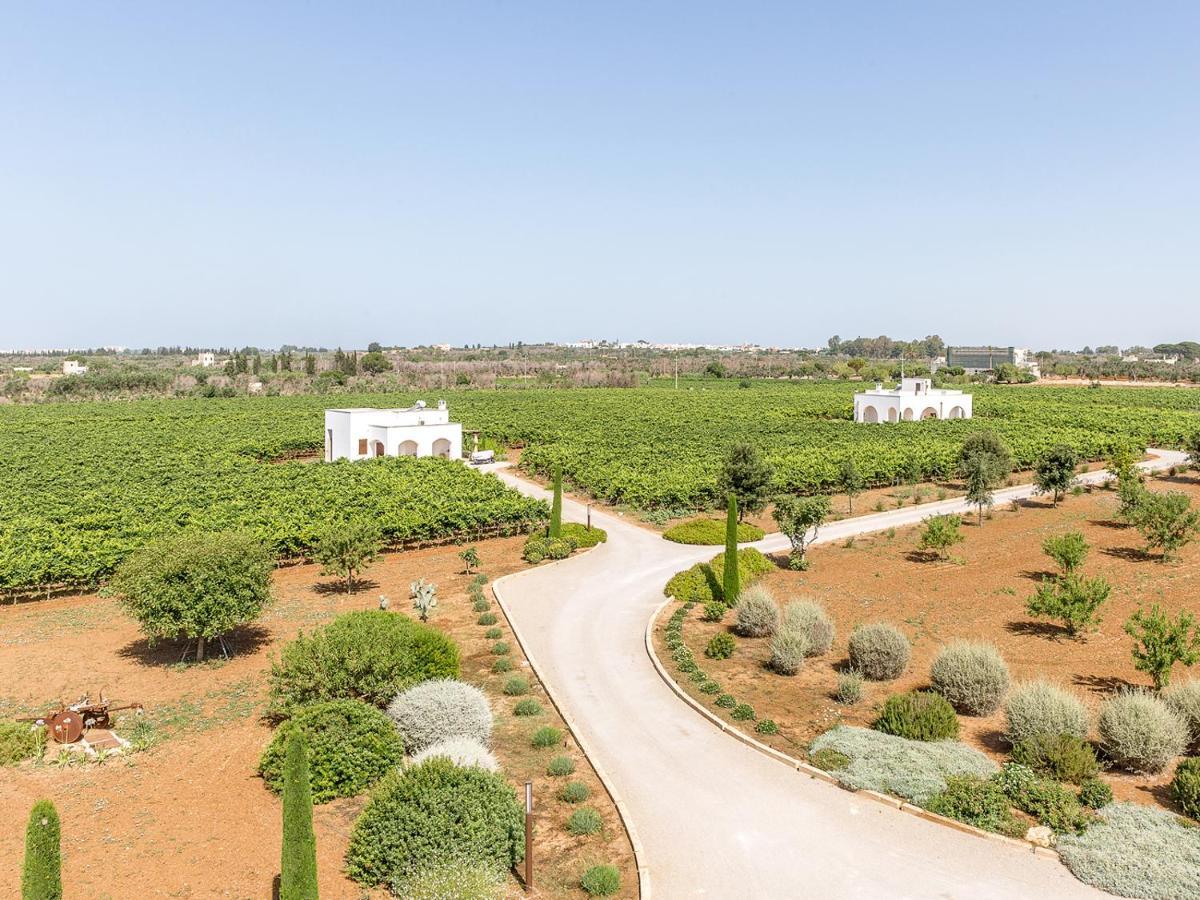 Tenutayala - Residenza Agrituristica بارابيتا المظهر الخارجي الصورة